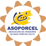 logo asoporocel